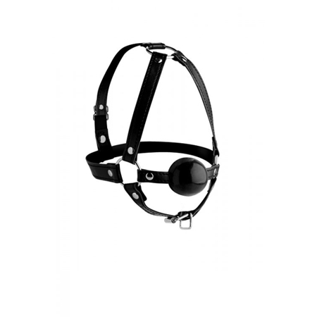 Hoofd Harnas Met Ballgag 