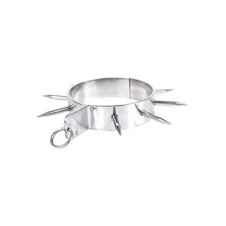 Metalen halsband met lange spikes