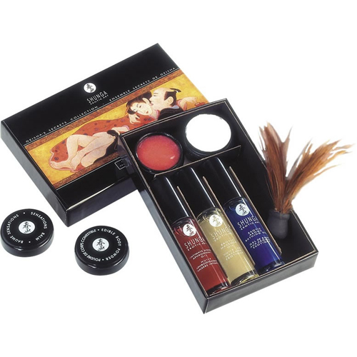 Shunga - Geisha's Geheime Collectie